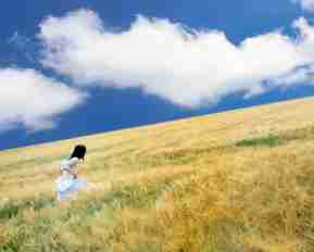 html5 编‍辑‍器​